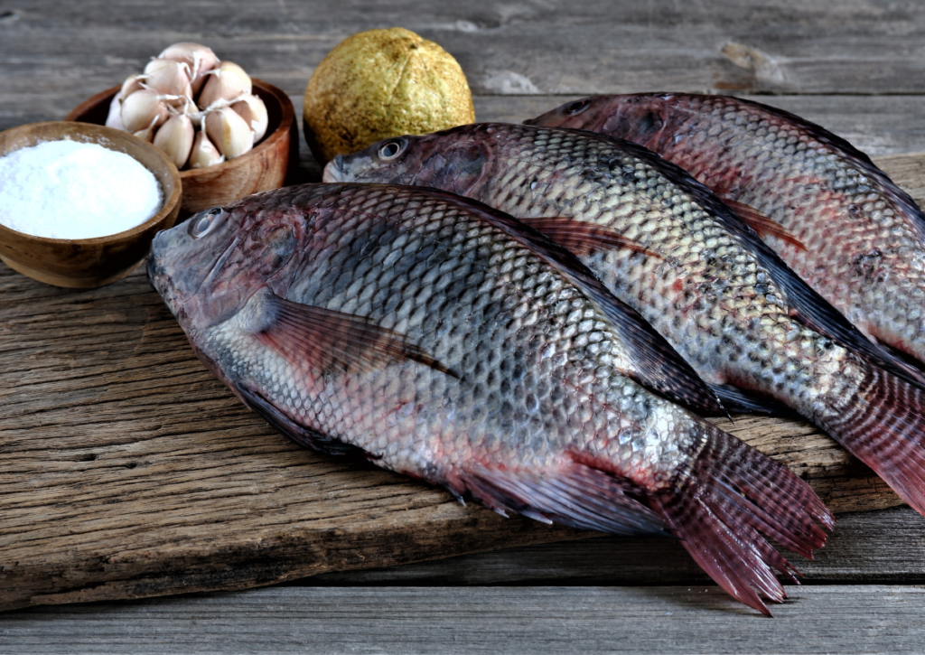 Fatty Fish