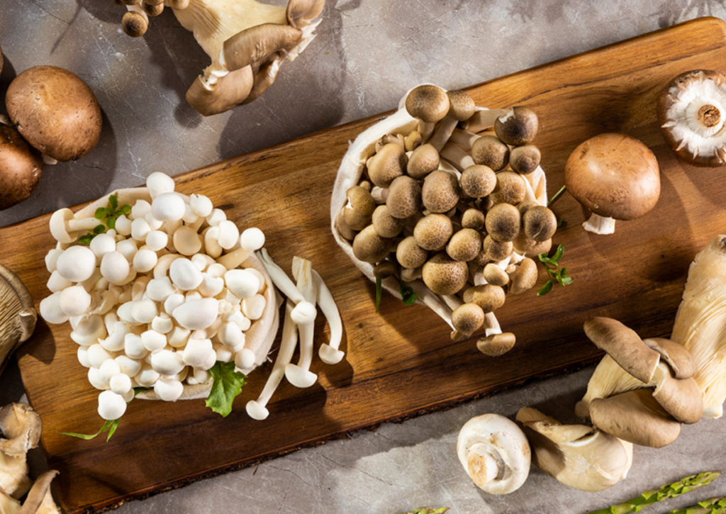 Health Benefits of Mushrooms